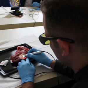 Dr Nemanja Ljeskovac učesnik demonstracije korišćenja lasera u stomatologiji